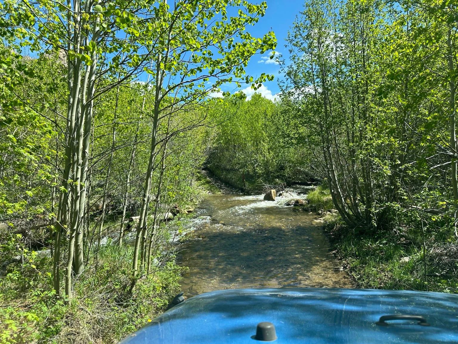 Blue Jeep hood in the foreground, facing a rocky creek bordered by dense green trees.